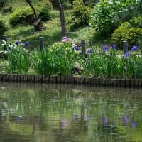 川のほとりの庭園。