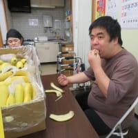 台湾バナナがやってきた♬