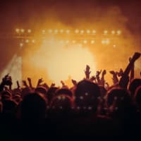 音楽フェスが続々と再開！