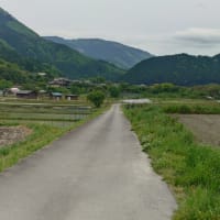 夕暮れウォーキング