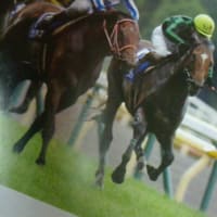 安田記念の究極の消去データ