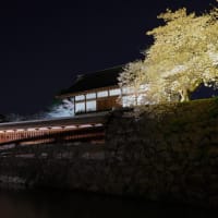 松代城のライトアップ３