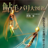 鮎毛バリ販売中、石川県白山市JA白山ファーマーズマーケット　よらんかいねぇ広場で販売中