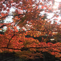 あいしゅー