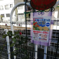1月4日の競馬(マイナス110円)