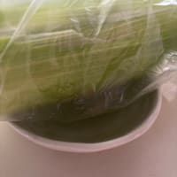 朝採りとうもろこし