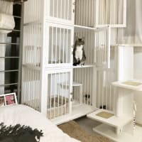 新・猫ケージ