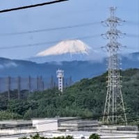 リハビリ見学