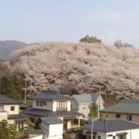 松本