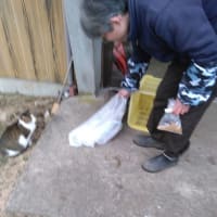 ただ今、捕獲中