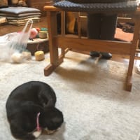 手織り教室初日でした。