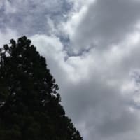 音楽紹介 アトラクトライト/cover巫てんり