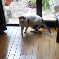 内緒のお話ですか?