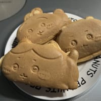 16日から21日までのウォーキングプラスα