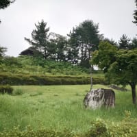 7/13(日)🐾甘楽公園🐾🐾〜🎵明日に架ける橋（ｻｲﾓﾝ&ｶﾞｰﾌｧﾝｸﾙ）