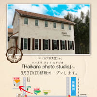 移転します！