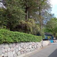 九州旅行と雑感