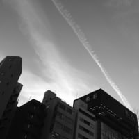何日和