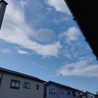 急患かしら？