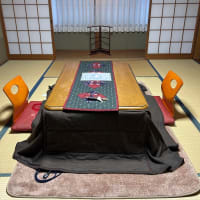 愛媛　お気に入りの秘湯　3回めの小藪温泉