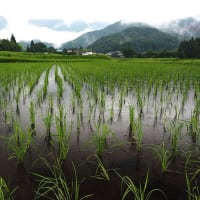 延岡ふるさと里山のチカラ再発見写真館NO3504