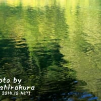 歴史をつづる
