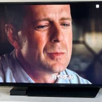 せらふじ園　＆　「シックスセンス」を観たよ