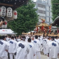 三条口を守護する京都の守り神「大将軍神社」の神輿渡御。氏子たちが集い賑わう境内