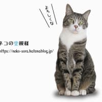ブログお引っ越し！