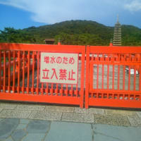 宇治川2