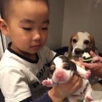 産まれました‼️
