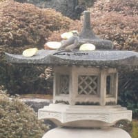 　感謝の気持ち。