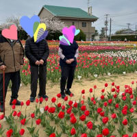 春のお花見ダイジェスト