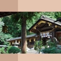 【週刊 神さまからのメッセージ】【天児屋命】11月1日～11月7日