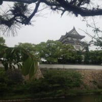 今日は岸和田に行ってきました