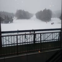 ふじてん・山中湖共に、１０センチ以上の積雪
