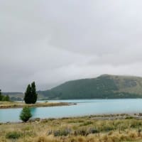 NZ-Round 6