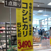 ☆昨日も？釣れませんでしたね？今日かな？？（笑）☆