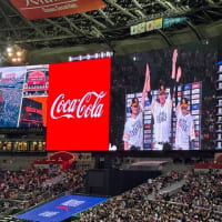 福岡ソフトバンクＶＳ横浜ＤＮＡ戦を観に行きました。