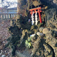 胎内弁天社様(小室浅間神社境内)