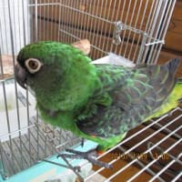 動物病院 The Origin Of Earth 動物病院 The Origin Of Earth