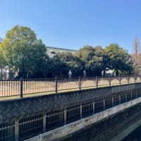 哲学堂公園　Mar-23-2025