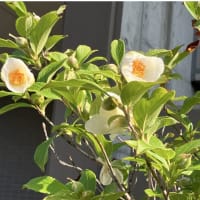 今日いち-2025年6月19日