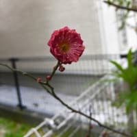 立春！