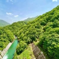 新緑の梵字川渓谷