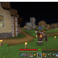 【マイクラ】ネザーまでの道のり~Ver1.16