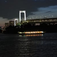 隅田川を屋形船でナイトクルーズ！東京の夜景！