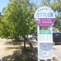 長井市の白つつじ公園で米屋のおにぎり・・