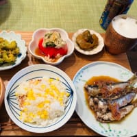 数日間の夕ご飯