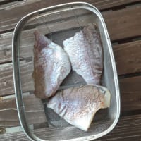 鯛の干物を作ってみた！